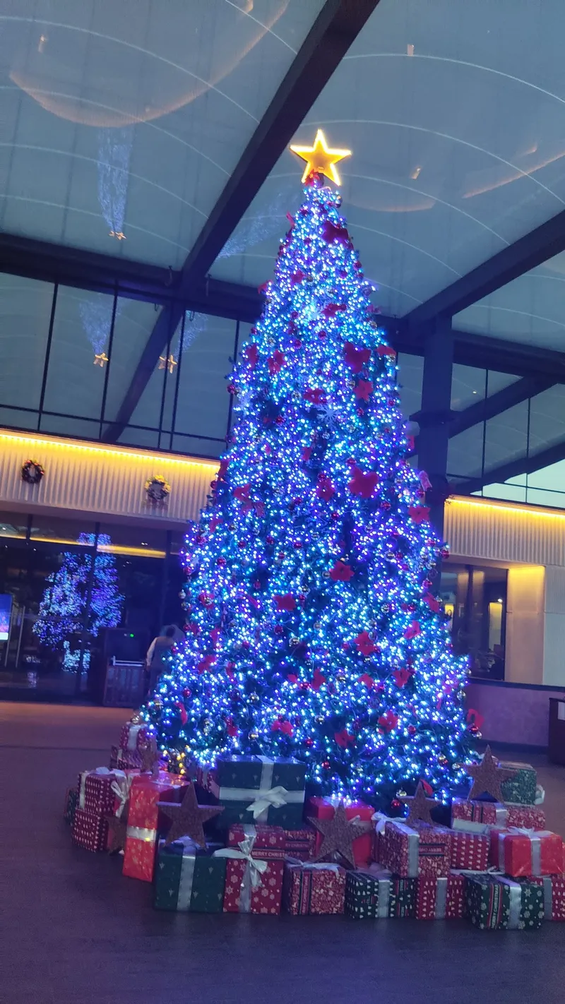 Merry Christmas