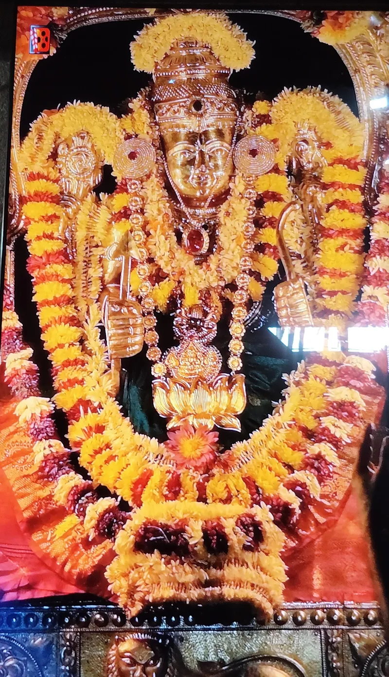 First Bloom of Jaadu 🌷 Offered to Bappanadu Durgaparameshwari
